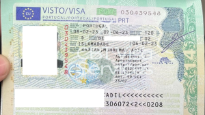 Visa Services