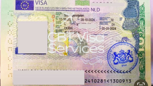 Visa Services