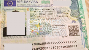 Visa Services