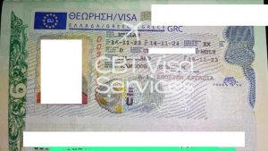Visa Services